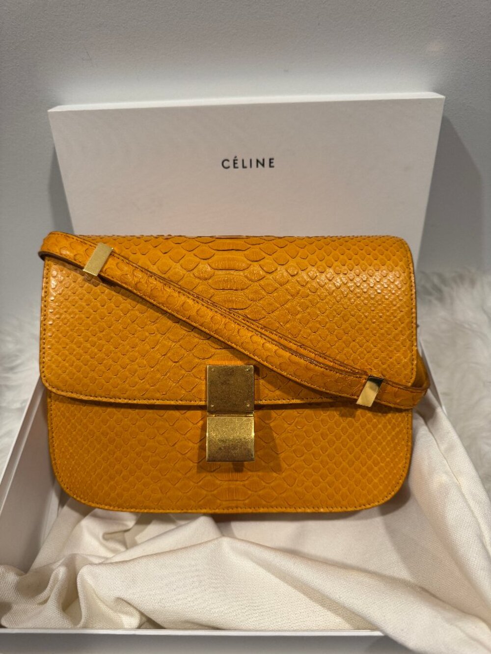 Celine Python Box - Medium